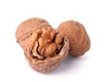Walnuts in shell on white background Royalty Free Stock Photo