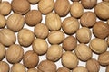 Walnuts with shells top view.Walnut background close-up.Whole walnuts on a white background.