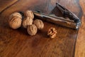 Walnuts with silver nutcracker on wooden background. It originated from a cross between English and Persian walnut trees Royalty Free Stock Photo