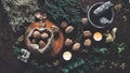 Walnuts in small brown sack and all over wiccan witch altar as method of  divination for Yule winter solstice Christmas time Royalty Free Stock Photo