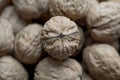 Walnuts, closeup, small zone of focus