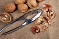 Walnuts and steel nutcracker on burlap. Close-up, selective focus Royalty Free Stock Photo