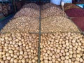 Walnuts at upper qazigund market Royalty Free Stock Photo