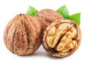 Walnuts, walnut kernel and green leaves isolated on white background Royalty Free Stock Photo