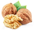 Walnuts, walnut kernel and green leaves isolated on white background Royalty Free Stock Photo