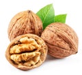 Walnuts, walnut kernel and green leaves isolated on white background Royalty Free Stock Photo