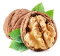 Walnuts, walnut kernel and green leaves isolated on white background Royalty Free Stock Photo