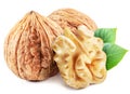 Walnuts, walnut kernel and green leaves isolated on white background Royalty Free Stock Photo