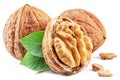 Walnuts, walnut kernel and green leaves isolated on white background Royalty Free Stock Photo