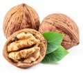 Walnuts, walnut kernel and green leaves isolated on white background Royalty Free Stock Photo