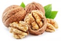Walnuts, walnut kernel and green leaves isolated on white background Royalty Free Stock Photo
