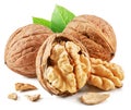 Walnuts, walnut kernel and green leaves isolated on white background Royalty Free Stock Photo