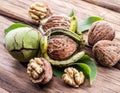 Walnuts and walnut kernels. Royalty Free Stock Photo