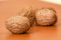 Walnuts Royalty Free Stock Photo
