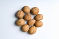 Walnuts on a white background. Close up view of walnuts. Walnuts are 4 water, 15 protein, 65 fat and 14 carbohydrates, including 7