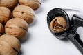 Walnut cracker lies next to nuts on a white background Royalty Free Stock Photo