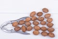 Walnuts on white Royalty Free Stock Photo