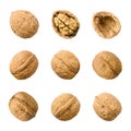 Walnuts, whole and opened, isolated on white background Royalty Free Stock Photo