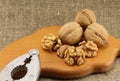 Walnuts on a wooden board (cutting board) with a nutcracker Royalty Free Stock Photo