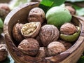 Walnuts in the wooden bowl. Royalty Free Stock Photo