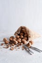 Walnuts are in a yuta bag on a delicate background Royalty Free Stock Photo
