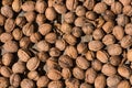 Top view of many walnuts Royalty Free Stock Photo