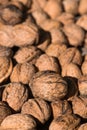 Top view of many walnuts Royalty Free Stock Photo