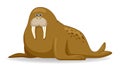 Walrus animal standing on a white background