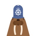 Walrus British policeman. Long tusks. Sea animal antarctica in c