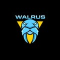 Walrus mascot logo design