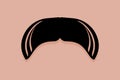 Walrus Moustache Icon Vector