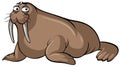 Walrus with sad face on white background