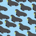 Walrus seamless pattern. Marine mammal with long tusks. Alaska a