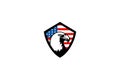 Head of the eagle with american flag, sport logo. white color background. black border. security emblem. Royalty Free Stock Photo