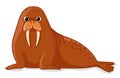Walrus on a white background. Vector illustration with.