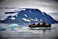 Walruses on Ice Royalty Free Stock Photo