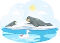 Walruses lie on ice floe and are saved from global warming. Polar gull swims in ocean among ice Royalty Free Stock Photo
