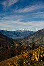 Walsertal, Kleinwalsertal in the summerly Austrian Alps Royalty Free Stock Photo