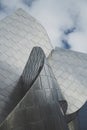 Walt Disney Concert Hall Close Vertical Detail