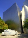 Walt Disney Concert Hall rose mosaic fountain