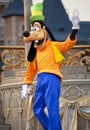 Walt Disney's Goofy Royalty Free Stock Photo