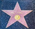 Walt Disney star in Hollywood walk of fame