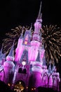 Walt Disney World Cinderella`s Castle with Fireworks and Christmas Lights at night