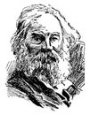 Walt Whitman, vintage illustration