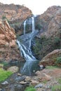 Walter Sisulu National Botanical Garden, Johannesburg, South Afr Royalty Free Stock Photo