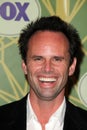 Walton Goggins Royalty Free Stock Photo