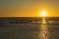 Walvis Bay, Namibia Royalty Free Stock Photo