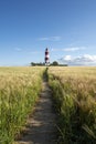 Waway leading to the Happisburgh Lighthouse through the scenic field Royalty Free Stock Photo