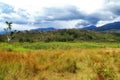 Wamena Landscape view, Papua Indonesia Royalty Free Stock Photo