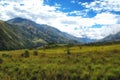 Wamena Landscape view, Papua Indonesia